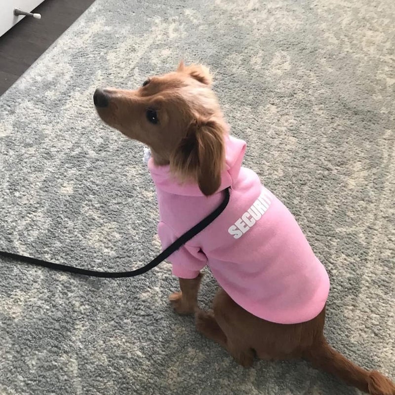 BINGPET Security Dog Hoodies Puppy Sweater Cold Weather Dog Coats Soft Brushed Fleece Pet Clothes Hooded Sweatshirt for Dog Cat - Image 5